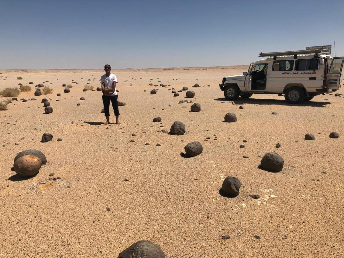 Rahala Safari Hotel Farafra Bagian luar foto